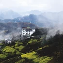 黄山旅游 缩略图 4