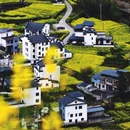 黄山旅游 缩略图 6