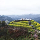 黄山旅游 缩略图 8
