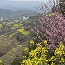 黄山旅游 缩略图 5