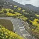 黄山旅游 缩略图 7