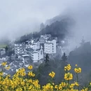 黄山旅游 缩略图 9