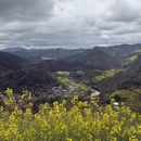 黄山旅游 缩略图 5
