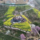 黄山旅游 缩略图 6