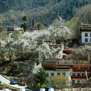 阿坝旅游 缩略图 3