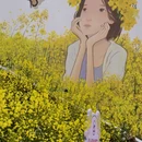 黄山旅游 缩略图 9