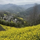黄山旅游 缩略图 14