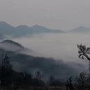 黄山旅游 缩略图 7