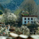 阿坝旅游 缩略图 6