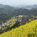 黄山旅游 缩略图 18