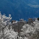 阿坝旅游 缩略图 2