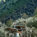 阿坝旅游 缩略图 9