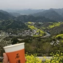 黄山旅游 缩略图 1