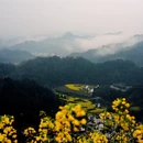 黄山旅游 缩略图 3