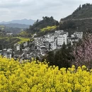 黄山旅游 缩略图 10