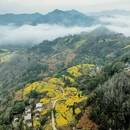 黄山旅游 缩略图 5