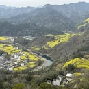 黄山旅游 缩略图 11