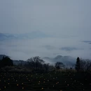 黄山旅游 缩略图 6