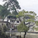 黄山旅游 缩略图 16