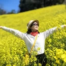 黄山旅游 缩略图 5