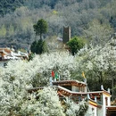 阿坝旅游 缩略图 12