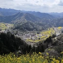 黄山旅游 缩略图 8