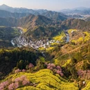 黄山旅游 缩略图 2