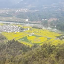 黄山旅游 缩略图 7