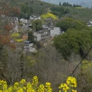 黄山旅游 缩略图 9