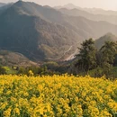 黄山旅游 缩略图 3