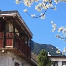阿坝旅游 缩略图 6