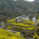黄山旅游 缩略图 13