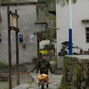 黄山旅游 缩略图 11