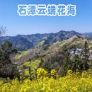 黄山旅游 缩略图 1
