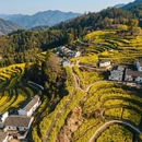 黄山旅游 缩略图 5