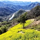 黄山旅游 缩略图 2