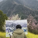 黄山旅游 缩略图 6