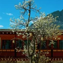 阿坝旅游 缩略图 11