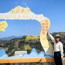 黄山旅游 缩略图 11
