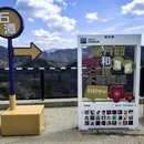 黄山旅游 缩略图 10