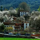阿坝旅游 缩略图 15