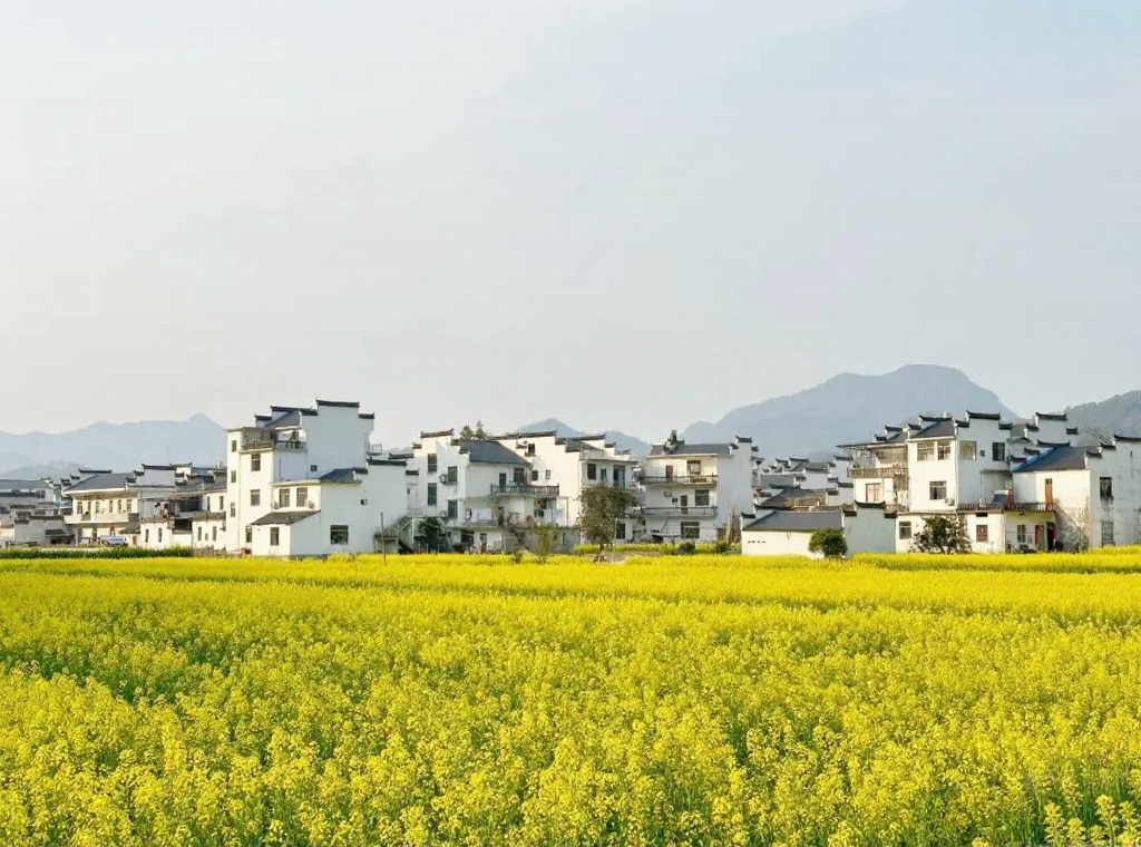 黄山旅游