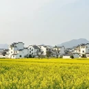 黄山旅游 缩略图 1