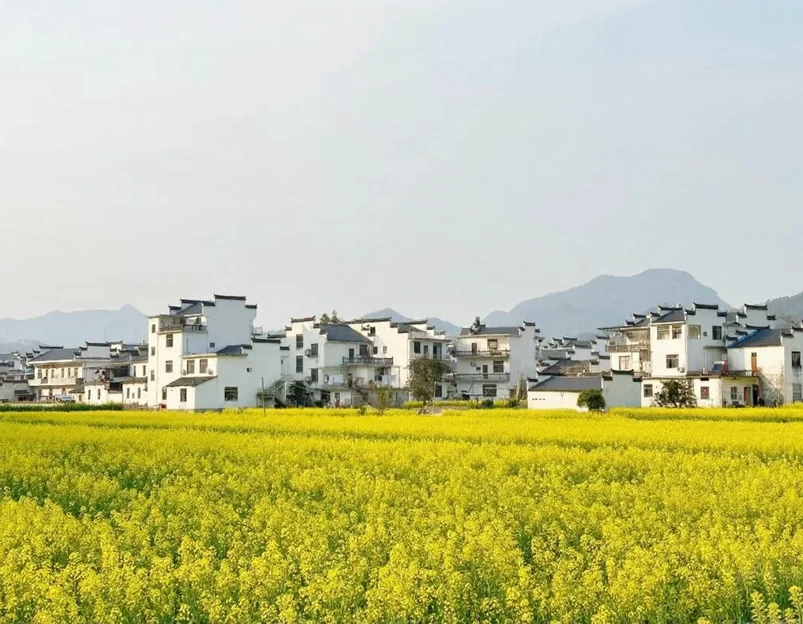 黄山旅游 1