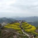 黄山旅游 缩略图 3