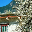阿坝旅游 缩略图 17