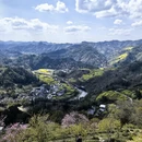 黄山旅游 缩略图 13