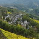 黄山旅游 缩略图 7