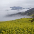 黄山旅游 缩略图 2