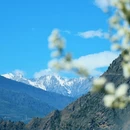 阿坝旅游 缩略图 18